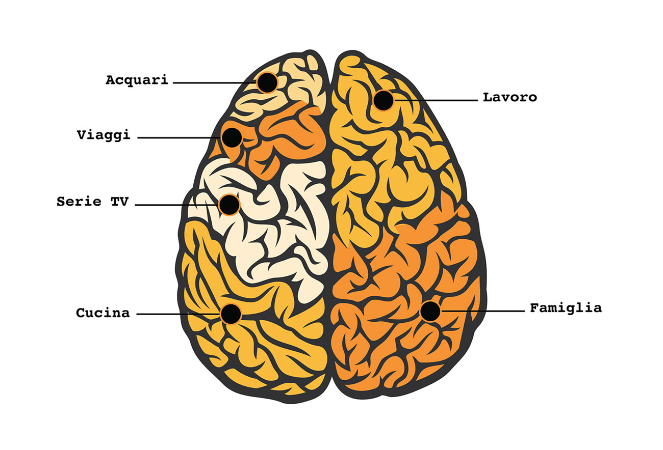 Cervello