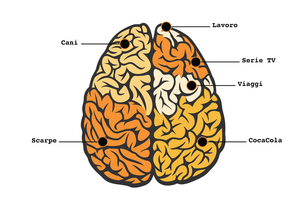 Cervello